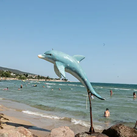 Sunny Sunny Beach